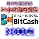 BitCash EX卡